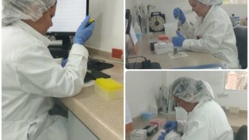 El laboratorio veterinario de Arauca apoya el diagnóstico de brucelosis bovina y anemia infecciosa equina