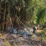 En Salamina se registró un incendio de cobertura vegetal
