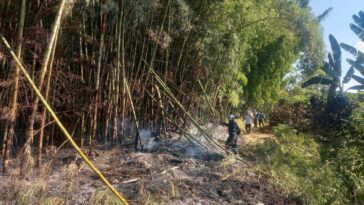 En Salamina se registró un incendio de cobertura vegetal
