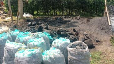 En zona rural de Calarcá, suspendieron actividad de quema de carbón