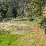 “Explosión En Línea De Producción De Petróleo En Campo Zulia, Norte De Santander: Acción Del Grupo De Caballería Mecanizado No 5 Evita Daños Ambientales”