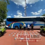Hallados 31.2 kilogramos de marihuana en bus de servicio público con destino a Arauca