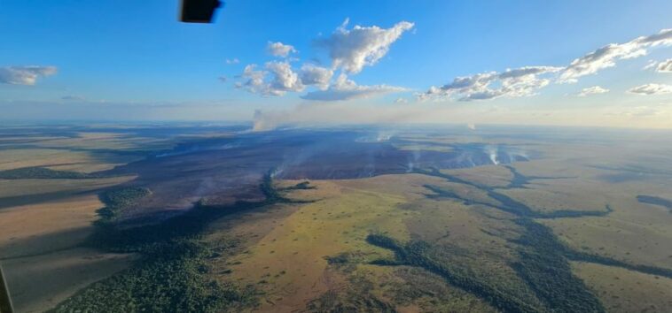 Incendio forestal arrasa más de 18.000 hectáreas en el Vichada y amenaza la biodiversidad del Parque Nacional El Tuparro y el río Bita