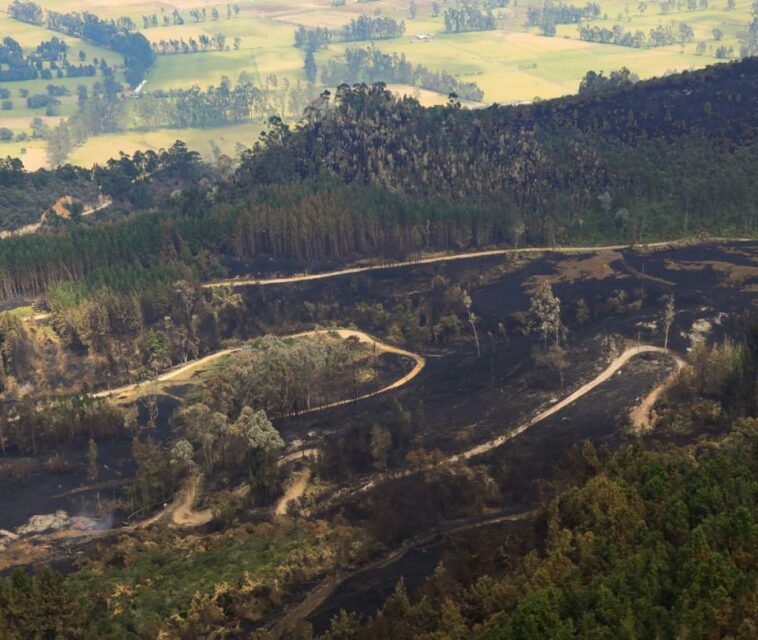 Incendios en los cerros orientales de Bogotá se originaron por causas humanas
