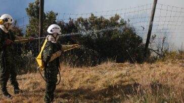 Incendios forestales: activarán avión Hércules para atender la emergencia en Colombia