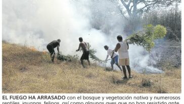 Incendios forestales no cesan y son centenares las hectáreas destruidas