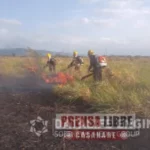 Llamado a los casanareños a proteger la fauna y la flora ante alto riesgo de incendios forestales