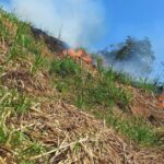 Varios municipios se han visto afectados por los incendios en Caldas