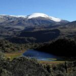 Avanza la verificación del cumplimiento en el fallo que garantizaría los derechos del Parque Natural Los Nevados
