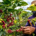 Cafeteros de Risaralda se sumarán a la movilización nacional de marzo