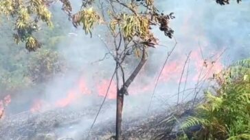 Cinco municipios están en alerta amarilla por riesgo de incendios de cobertura vegetal