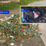 Este punto, a lado de las casetas de flores del cementerio Jardín de La Mercedes de Pasto, se ha convertido en un basurero y hay presencia de ratas que se están comiendo las flores.