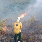 Batalla contra incendios forestales