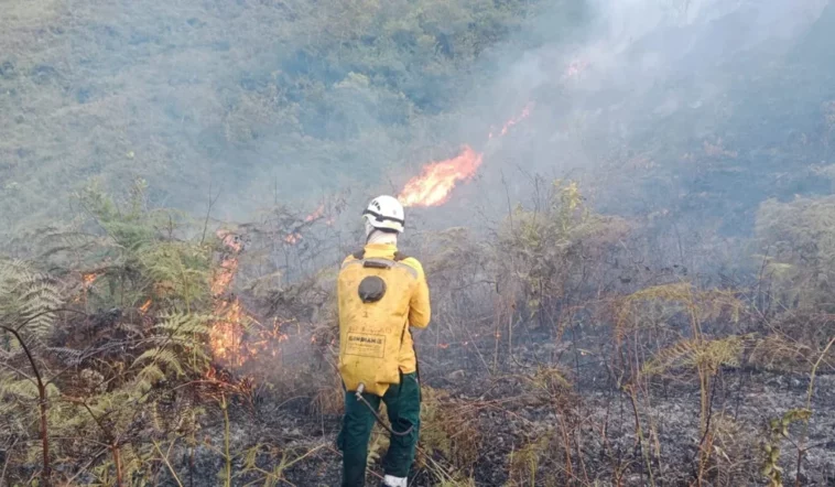 Batalla contra incendios forestales