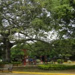 Parque Central -  Ricaurte