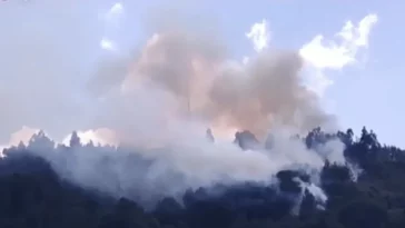 Incendios forestales en Colombia