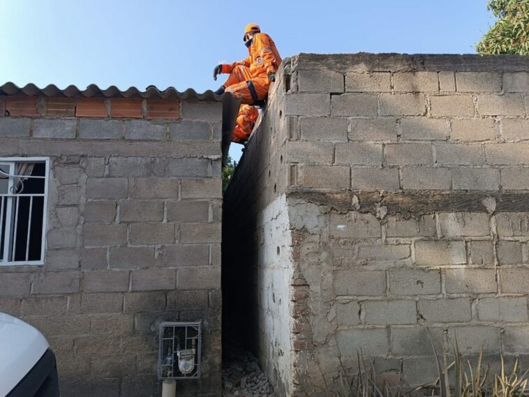 Defensa Civil rescató 5 perritos recién nacidos que quedaron atrapados en medio de dos viviendas