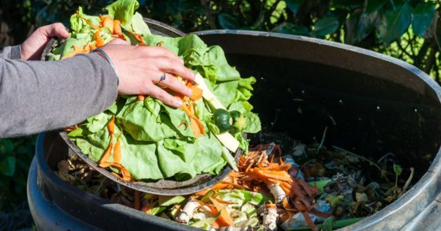 En Quimbaya, los agricultores crearán sus propios fertilizantes