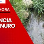 Encuentran presencia de cianuro en la quebrada Tesorito, el cual le habría causado la muerte a varios animales