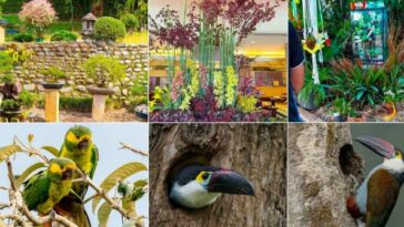 ExpoFlora 2024, un espacio para conectar con el mundo de las flores, jardines, aves y mariposas