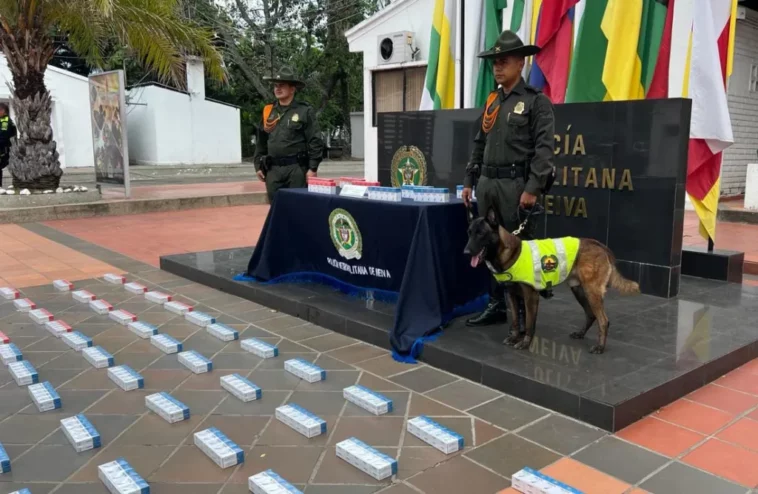 Incautadas 1.500 cajetillas de cigarrillos extranjeros en Neiva