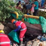 Limpiaron canal repleto de basura en el Mercado del Sur