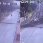 «No le tocaba»: Fuerte brisa derriba un árbol y motociclista se salva de morir en Barranquilla