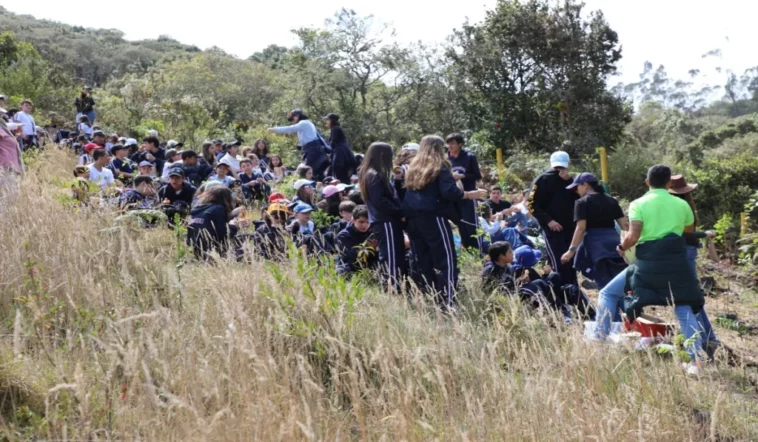 Reforestación en Chía