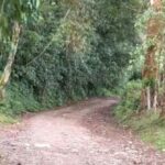 Ordenan la apertura de la vía Salento – vereda Camino Nacional -Tolima
