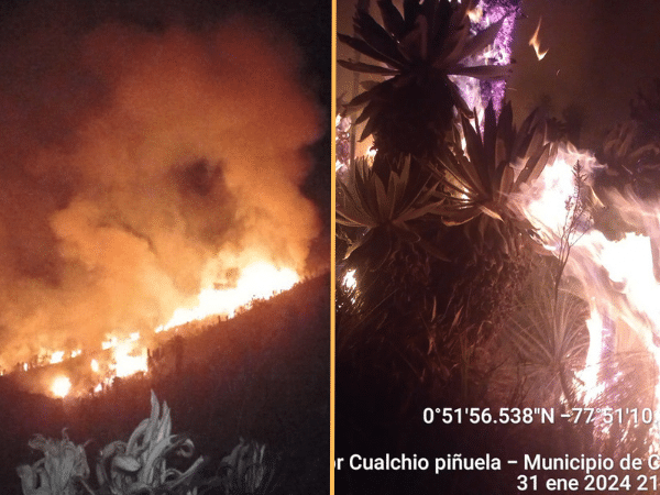 Se quemaron 6 hectáreas de Páramo de la Vereda Cuetial de Cumbal. El incendio duró más de cinco horas.