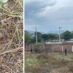 Pánico en Campoalegre por hallazgo de una granada