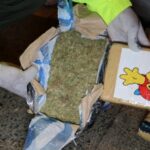 Policía evitó el envío de más de media tonelada de marihuana a países suramericanos.