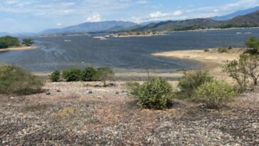 Preocupación en piscicultores del Huila por drástica disminución del caudal en represa de Betania
