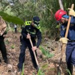 Siembra de 200 árboles en zonas afectadas por incendios en Acevedo