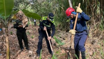 Siembra de 200 árboles en zonas afectadas por incendios en Acevedo