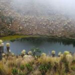Un paraíso: 288 ecosistemas de humedales tiene el Quindío