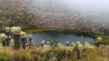 Un paraíso: 288 ecosistemas de humedales tiene el Quindío