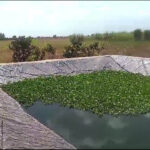 Una asociación de campesinos de Puerto Carreño pide ayuda para salvar su proyecto piscícola