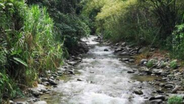 Varios barrios de Armenia se encuentran sin agua por turbiedad en el río Quindío
