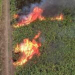 13 hectáreas de cultivos de caña fueron consumidas por un incendio en Viterbo