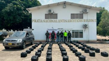 308 kilos de marihuana fueron descubiertos por el ejército en la vía La Plata – Paicol en el Huila.