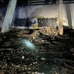 Animales a salvo: Bomberos controlaron incendio cerca al Estadio Eduardo Santos