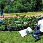 Buscan recuperar nueve parques de Manizales