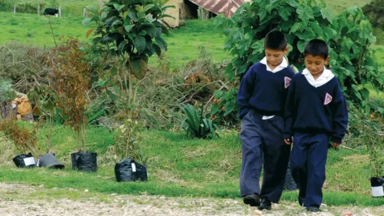 niños estudiantes del campo