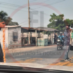Continúa la descontrolada venta ilegal de huevos de iguana en la vía Santa Marta - Barranquilla