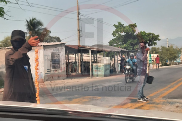 Continúa la descontrolada venta ilegal de huevos de iguana en la vía Santa Marta - Barranquilla