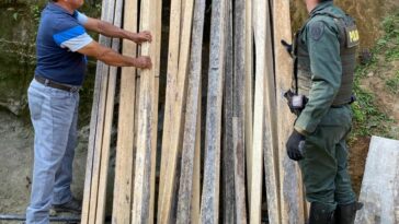 Corpamag y Policía Metropolitana incautaron más de tres metros cúbicos de madera aserrada