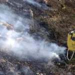 Bomberos atienden incendio forestal