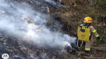 Bomberos atienden incendio forestal