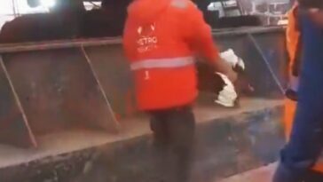 Denuncian a trabajadores que matan gallina en obra del Metro Un indignante hecho de maltrato animal se viralizó recientemente en redes sociales, en donde se ve a un trabajador del Metro Bogotá rociar sangre de una gallina a una estructura de la construcción.